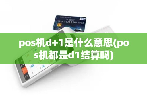 pos机d+1是什么意思(pos机都是d1结算吗)