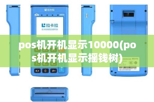 pos机开机显示10000(pos机开机显示摇钱树)