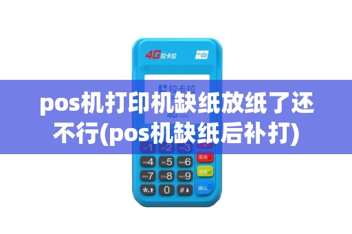 pos机打印机缺纸放纸了还不行(pos机缺纸后补打)