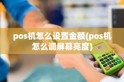 pos机怎么设置金额(pos机怎么调屏幕亮度)
