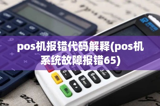 pos机报错代码解释(pos机系统故障报错65)