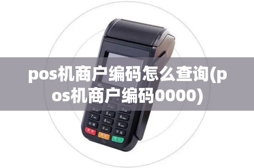 pos机商户编码怎么查询(pos机商户编码0000)