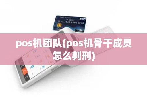 pos机团队(pos机骨干成员怎么判刑)