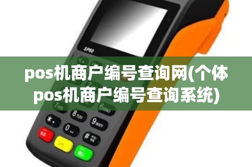 pos机商户编号查询网(个体pos机商户编号查询系统)
