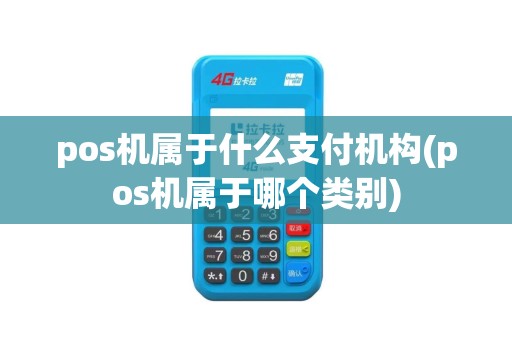 pos机属于什么支付机构(pos机属于哪个类别)