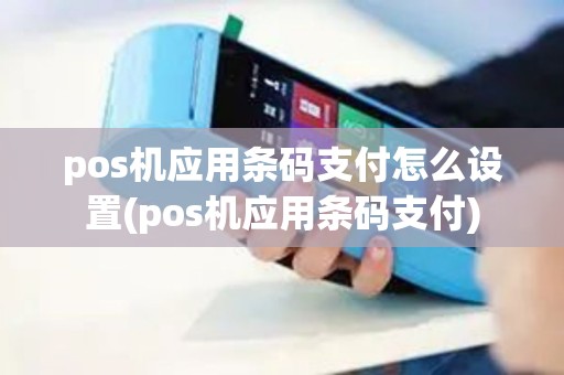pos机应用条码支付怎么设置(pos机应用条码支付)