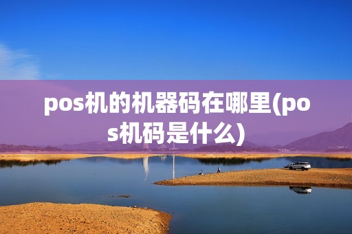 pos机的机器码在哪里(pos机码是什么)