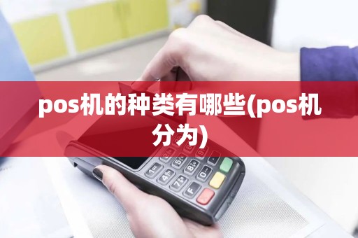 pos机的种类有哪些(pos机分为)