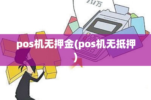 pos机无押金(pos机无抵押)
