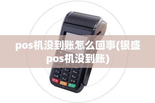 pos机没到账怎么回事(银盛pos机没到账)