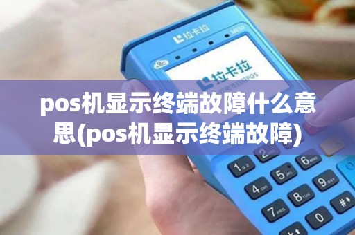 pos机显示终端故障什么意思(pos机显示终端故障)