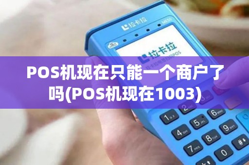 POS机现在只能一个商户了吗(POS机现在1003)