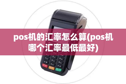 pos机的汇率怎么算(pos机哪个汇率最低最好)