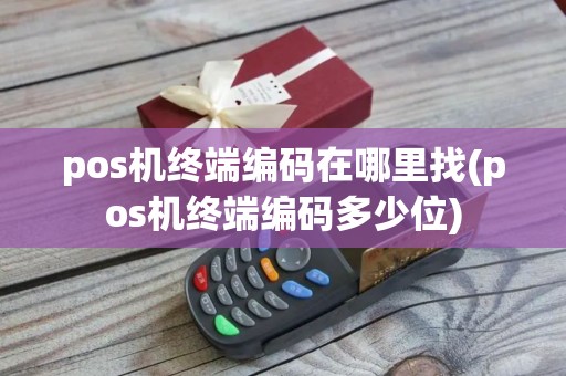 pos机终端编码在哪里找(pos机终端编码多少位)