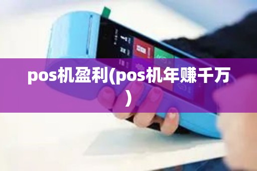 pos机盈利(pos机年赚千万)