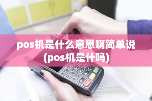pos机是什么意思啊简单说(pos机是什吗)