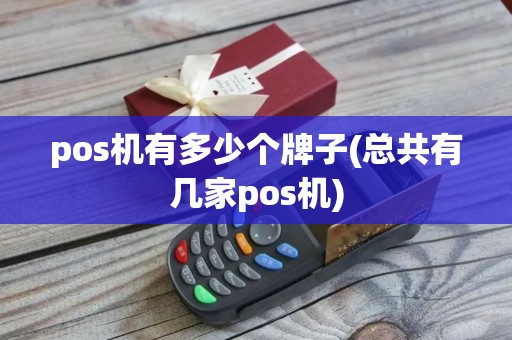 pos机有多少个牌子(总共有几家pos机)