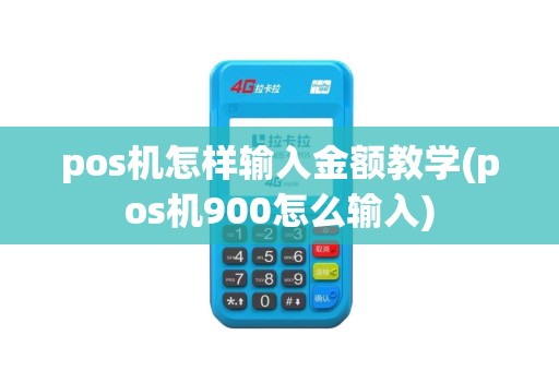 pos机怎样输入金额教学(pos机900怎么输入)