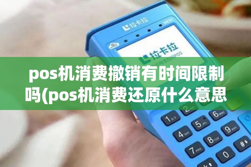 pos机消费撤销有时间限制吗(pos机消费还原什么意思)