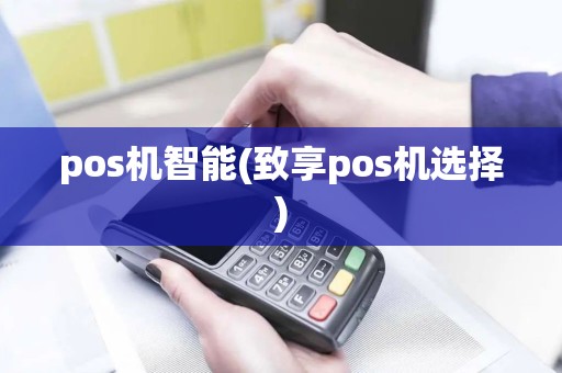 pos机智能(致享pos机选择)