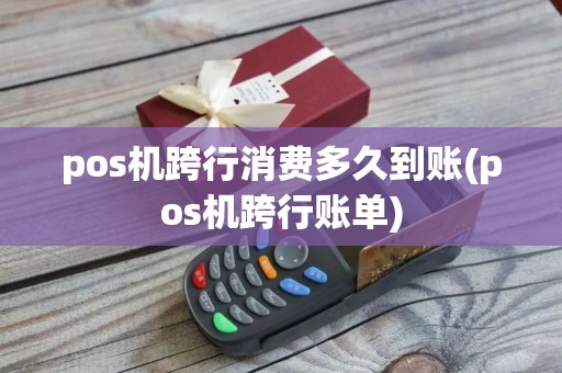 pos机跨行消费多久到账(pos机跨行账单)