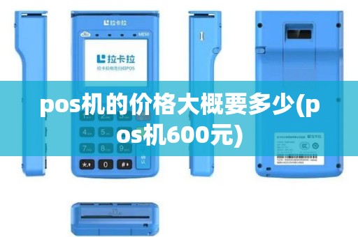 pos机的价格大概要多少(pos机600元)