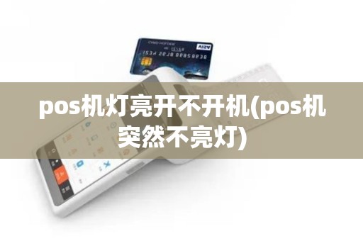 pos机灯亮开不开机(pos机突然不亮灯)