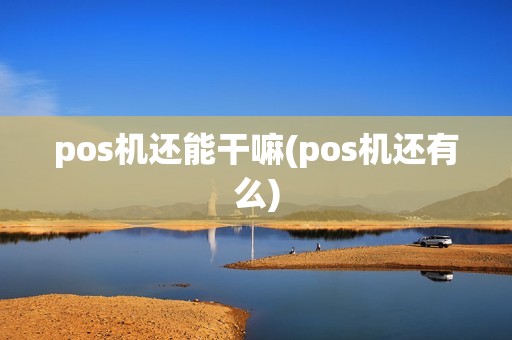 pos机还能干嘛(pos机还有么)