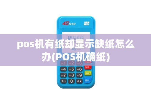 pos机有纸却显示缺纸怎么办(POS机确纸)