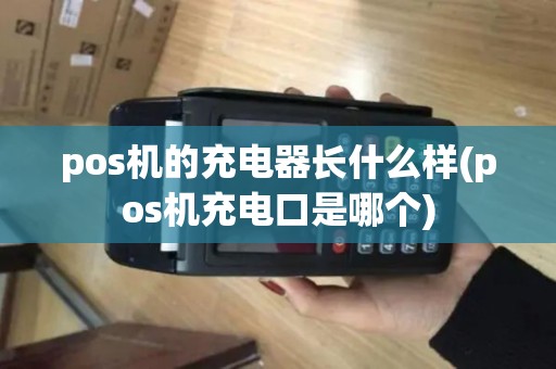 pos机的充电器长什么样(pos机充电口是哪个)
