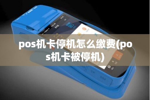 pos机卡停机怎么缴费(pos机卡被停机)