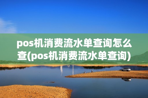 pos机消费流水单查询怎么查(pos机消费流水单查询)