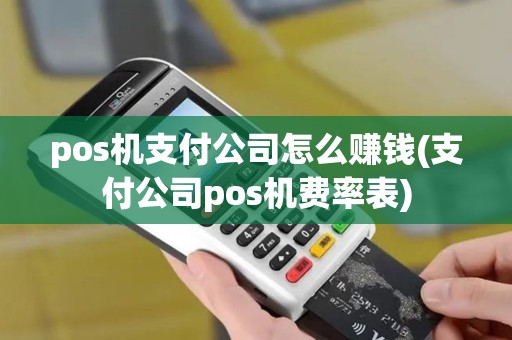 pos机支付公司怎么赚钱(支付公司pos机费率表)