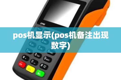 pos机显示(pos机备注出现数字)