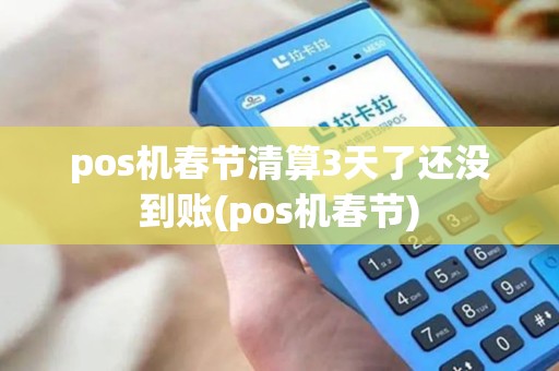 pos机春节清算3天了还没到账(pos机春节)