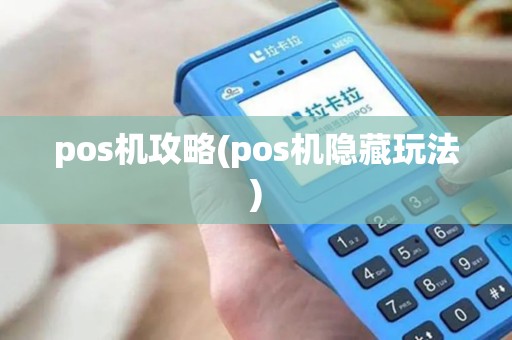 pos机攻略(pos机隐藏玩法)