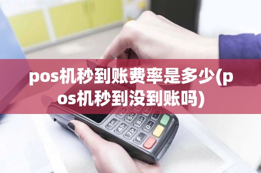 pos机秒到账费率是多少(pos机秒到没到账吗)