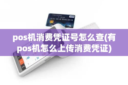 pos机消费凭证号怎么查(有pos机怎么上传消费凭证)