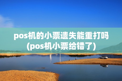 pos机的小票遗失能重打吗(pos机小票给错了)