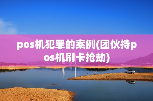 pos机犯罪的案例(团伙持pos机刷卡抢劫)