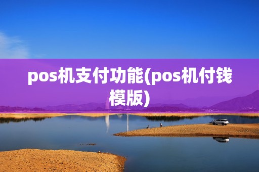 pos机支付功能(pos机付钱模版)