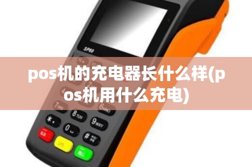 pos机的充电器长什么样(pos机用什么充电)