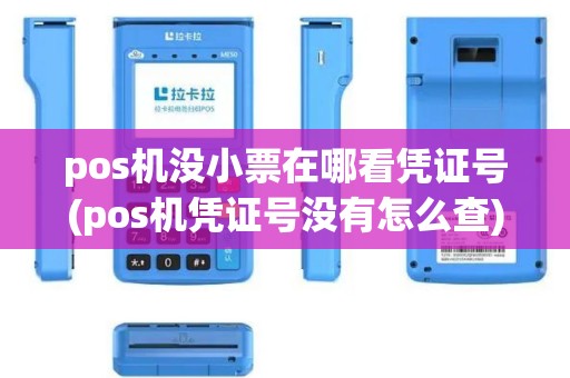 pos机没小票在哪看凭证号(pos机凭证号没有怎么查)