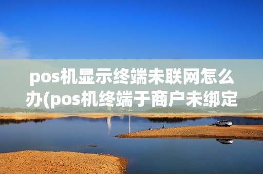 pos机显示终端未联网怎么办(pos机终端于商户未绑定)