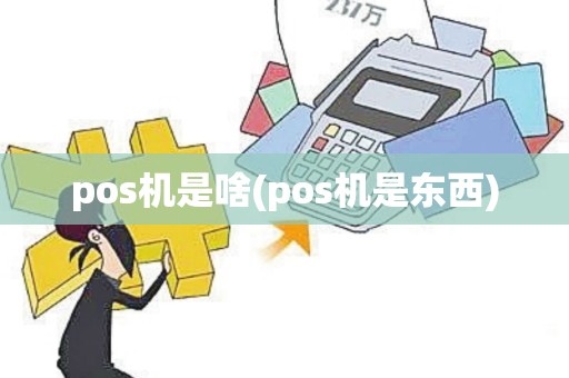 pos机是啥(pos机是东西)