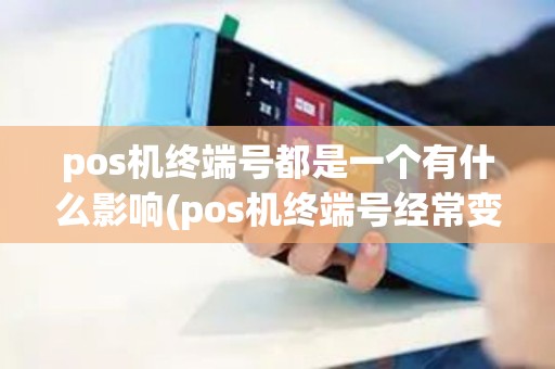 pos机终端号都是一个有什么影响(pos机终端号经常变好吗)