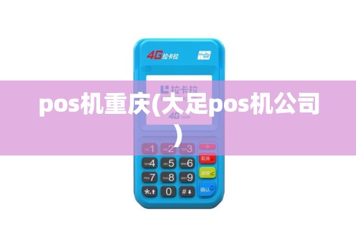pos机重庆(大足pos机公司)