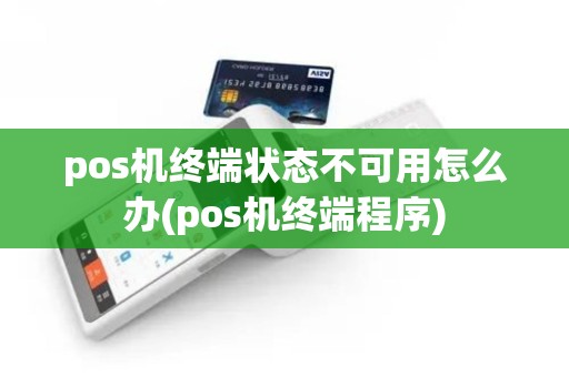 pos机终端状态不可用怎么办(pos机终端程序)