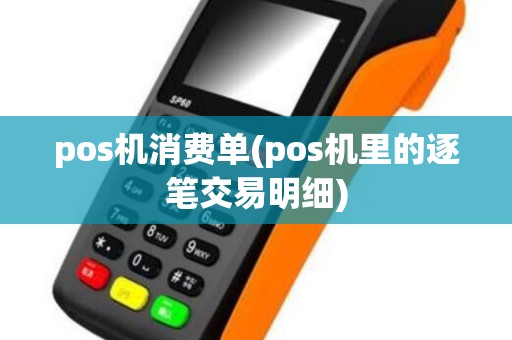 pos机消费单(pos机里的逐笔交易明细)