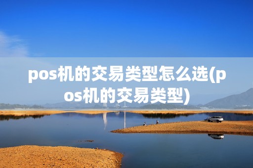 pos机的交易类型怎么选(pos机的交易类型)